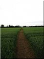 Footpath near Laurel Farm