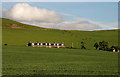 Farm cottages at Morebattle Mains