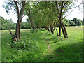 Footpath, West End