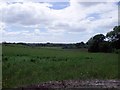 Fields south of Tintock