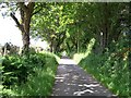 Once the main road into Llanystumdwy and beyond to Lleyn