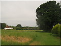 Footpath towards Tenterden