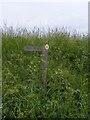 Footpath to Stubbs Green