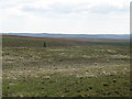 NY7461 : Panorama from the currick on Curricks Rigg (7: WSWb - Hesley Shaw) by Mike Quinn