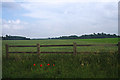 Wheat field near Waterhall Farm