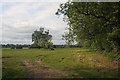 TL6468 : Meadow by the River Snail by Bob Jones