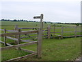 Footpath from Loddon Ingloss to the Mundham road