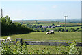 Stoodleigh: towards Lower Rifton