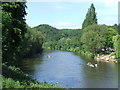 Rowing race, Bridgnorth