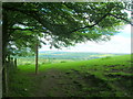 Field / wood boundary near Cracoe