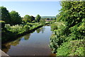 Sea Cut from Newby Bridge