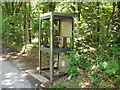 Vandalised phone kiosk in Coed Rhos-fawr