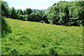 Open space in Pen-y-coed