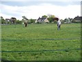 Houses and horses