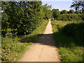 Mersey Vale Nature Park