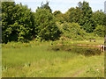 Mersey Vale Nature Park, Pond