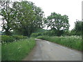 Sandy Lane near Tiddington