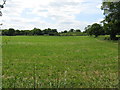 Fields adjoining Brookhouse Lane