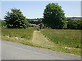 Mown grassy track, Dinas Powys Common