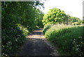 The old railway line near Larpool Hall