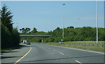 O2519 : The M11, Bray by Sarah777