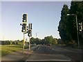 Traffic lights on Toton Lane