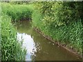 Afon Penrhos above the footbridge