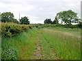 Footpath to Shada Plantation