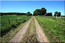 NZ6218 : Fenced track to Upleatham by Philip Barker