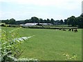 Fferm Goetre Farm, Efailnewydd