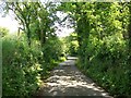 Country lane between Efailnewydd and Gorphwysfa