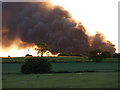 Fields towards Plumtree Farm industrial estate