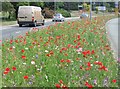 Splash of colour at Moulsecoomb