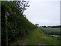 TM3872 : Footpath to Kingstall Wood,  the A144 Bramfield Road & Walpole Road by Geographer