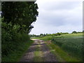 TM3772 : Footpath to Packway Farm by Geographer