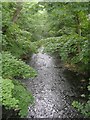 River Holme - Magdale