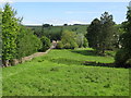 Pastures and woodland near Thornley Gate (2)