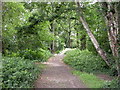 Colehill, footpath