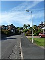 Lamppost in Mallow Close