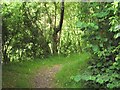 SH3533 : Path through woodland by Eric Jones