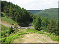 Looking back from path to Twmbarlwm