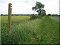 TL1833 : Ickleford: New Ramerwick Farm permissive footpath by Nigel Cox