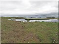 NC6854 : Lochan in the Peatlands by david glass