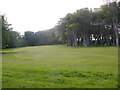 Trees on Stornoway Golf Course