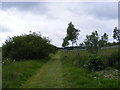 TM3470 : Footpath to Heveningham Long Lane & Mill Road by Geographer
