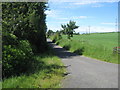 Access road to Todrig Farm