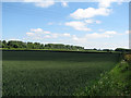 Former ironstone quarry between Sewstern and Stainby