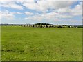 C2500 : Approaching the Beltany Stone Circle by Kenneth  Allen