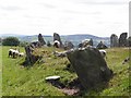 C2500 : Beltany Stone Circle by Kenneth  Allen