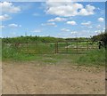 Gate in to the fields near Hassington